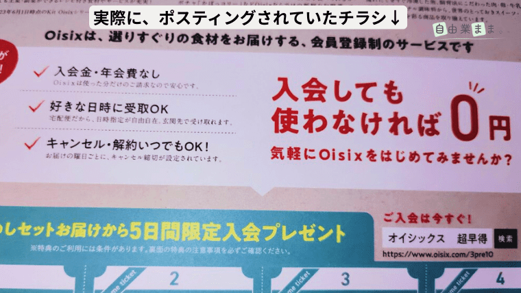 実際のちらし